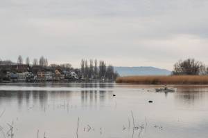 Untersee