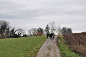 Wanderung Konstanz - Gottlieben - Mannenbach