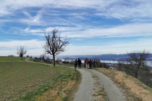 Wanderung Konstanz - Gottlieben - Mannenbach