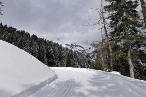 Winterwanderung Ovronnaz