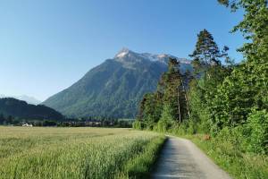 Niesen Wanderung Niederstocken - Wimmis