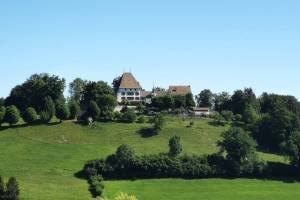 Schloss Burgistein