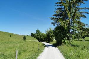 Wanderung Toffen - Bütschelegg - Riggisberg  -Burgistein