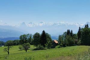 Alpensicht Wanderung Toffen - Bütschelegg - Riggisberg  -Burgistein