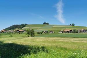 Wanderung Toffen - Bütschelegg - Riggisberg  -Burgistein