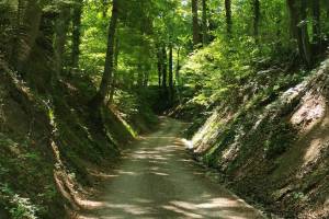 Gürbetaler Höhenweg, Abstieg nach Toffen