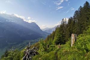 Wanderung Hätzingen-Schönaufurggeli-Mettmen