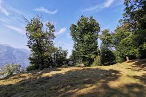 Wanderung Via del Ceneri (Quartino - Monte Ceneri - Cadenazzo)