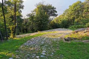 Wanderung Via del Ceneri (Quartino - Monte Ceneri - Cadenazzo)