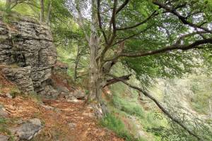 Wanderung Monte Lema - Miglieglia