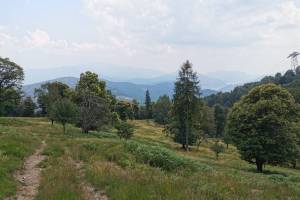 Wanderung Monte Lema - Miglieglia