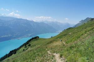 Brienzersee