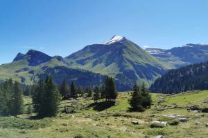 Bättenalp