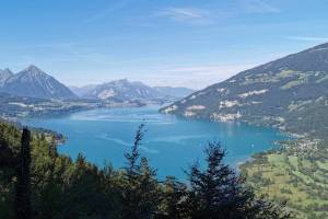 Aussichtspunkt oberhalb Heimwehfluh Thunersee