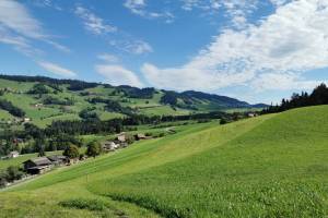 Wanderung Heimenschwand - Rachholtern