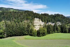 Wanderung Heimenschwand - Rachholtern