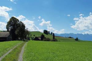 Wanderung Heimenschwand - Rachholtern