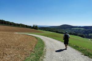 Wanderung Bürersteig – Cheisacher-Turm – Sennhütten – Elfingen