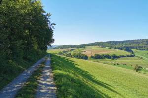 Bürersteig – Cheisacher-Turm – Sennhütten – Elfingen