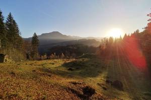 Brüniger Älpeli Wilerhorn