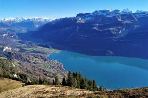 Wanderung Planalp - Bitschi - Oberried