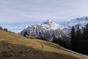 Mürren