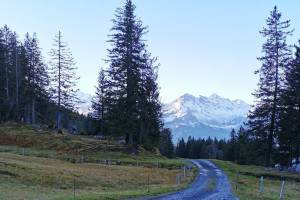 Wanderung Brünig - Gibel