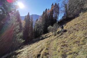 Wanderung Erlenbach - Weissenburg