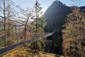 Hängebrücke Leiternweide