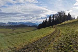 Zwischen Stoffelsrüti und Seftigen