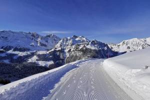 Winterwanderung Engelberg-Brunni