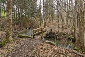 Wanderung Burgistein - Uetendorf