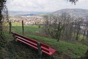 Bienenberg Wanderung Liestal - Schauenburg - Basel