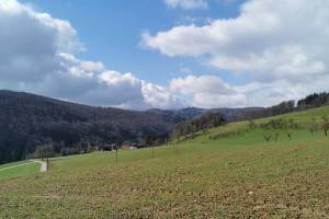 Wanderung Liestal - Schauenburg - Basel