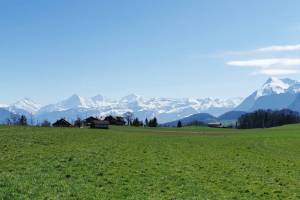 Wanderung Seftigen - Thierachern