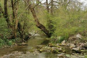 Wanderung Besazio - Stabio - Novazzano - Mendrisio