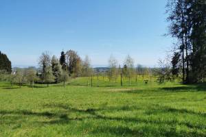 Wanderung Winden - Roggwil - Arbon