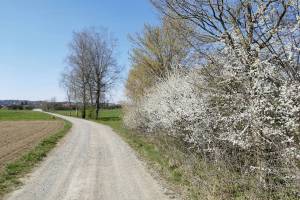 Wanderung Amriswil - Hudelmoos - Bischofszell