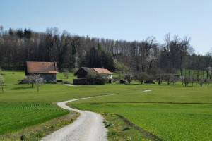 Wanderung Amriswil - Hudelmoos - Bischofszell