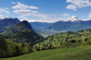 Wanderung Seewis - Valcaus Narzissenweg