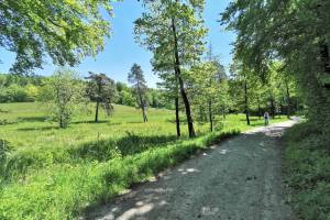 Wanderung Hedingen - Türlersee - Mettmenstetten