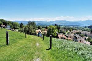 Wanderung Hedingen - Türlersee - Mettmenstetten