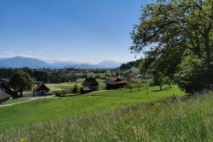 Wanderung Hedingen - Türlersee - Mettmenstetten