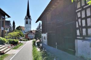 Wanderung Hedingen - Türlersee - Mettmenstetten