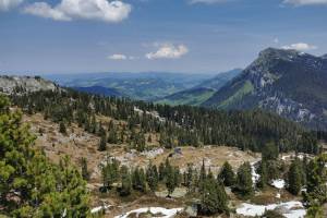 Karstlandschaft oberhalb Habkern