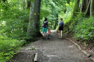 Bern Gurten Wanderung Wabern - Jennershaus - Wabern