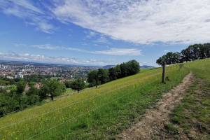 Bern Gurten Wanderung Wabern - Jennershaus - Wabern