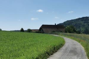 Bern Gurten Wanderung Wabern - Jennershaus - Wabern