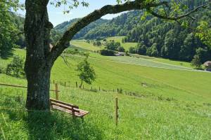 Bern Gurten Wanderung Wabern - Jennershaus - Wabern