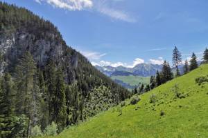 Wanderung Diemtigtal - Abendberg - Erlenbach